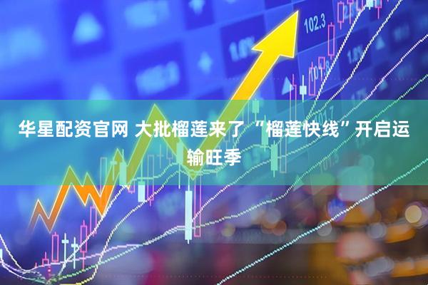 华星配资官网 大批榴莲来了 “榴莲快线”开启运输旺季